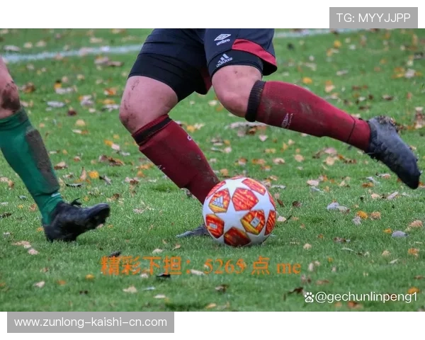 开云体育app网站提供最全面的体育赛事直播与赛事资讯 开云体育app网站提供最全面的体育赛事直播与赛事资讯