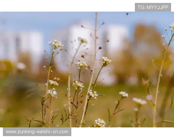 云开之时,万物复苏,春意盎然,预示着新的希望与辉煌。 云开之时,万物复苏,春意盎然,预示着新的希望与辉煌。