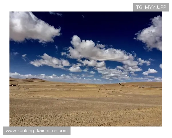 开云官网平台多渠道客户服务体系介绍，快速解决您的购物疑问