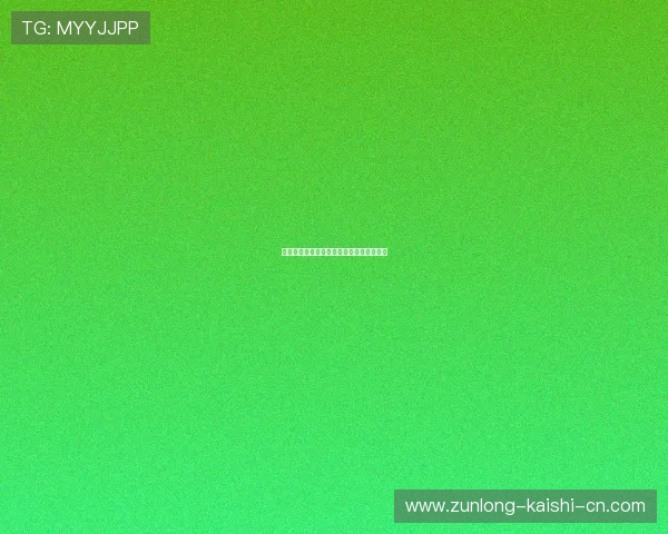 探秘尊龙登录的安全性与用户体验的重要性 探秘尊龙登录的安全性与用户体验的重要性