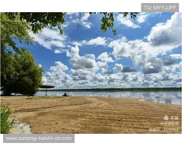 尊龙d88国际厅优惠活动有哪些值得参与的精彩内容