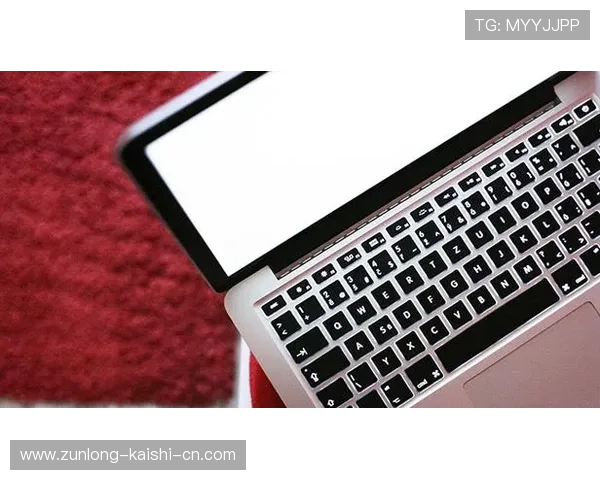 尊龙d88网站支付方式多样化支持多平台快速充值与提现